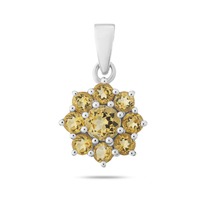 ��������, ������, ������