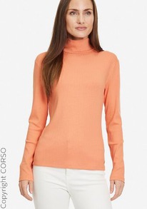 corso ��������� �������