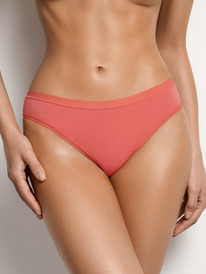 02.05  SiSi ������� ������� SI5101 String, CO SI5101 String, CO Terracotta (����