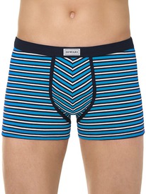 22.05 DiWaRi ����� ������� DIWARI BAND SHORTS 810 17�-495��� �������� MSH 810 (�