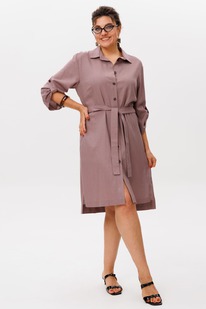 ������ ANELLI 1579 �������� ����