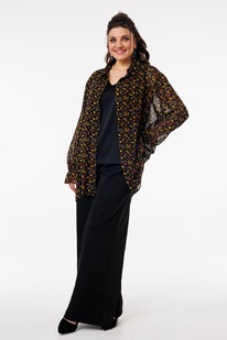 ����� ANELLI 1379 �������� �������