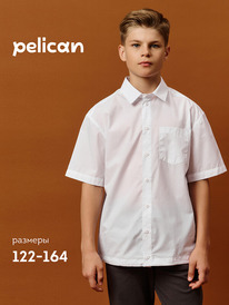 01.06 Pelican ������� ������� ��� ��������� BWCT7121 �����