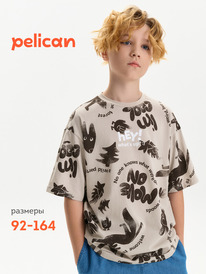 01.06 Pelican �������� ��� ��������� BFT3387/2 ������-�����
