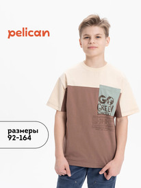 01.06 Pelican �������� ��� ��������� BFT3370/4 ��������