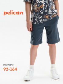 01.06 Pelican ����� ��� �������� BFH3369/1/1U �����