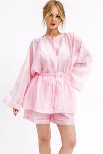 ����� Pirs 6853 �������