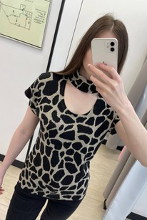 �-171 �������