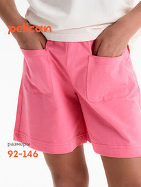 13.07 Pelican ����� ��� ������� GFH3369//3U �������