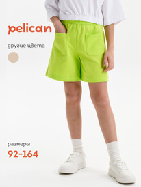 13.07 Pelican ����� ��� ������� GFH3369U ���������