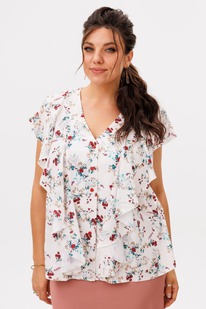 ����� ANELLI 1691 ������
