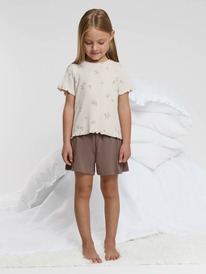 24.10 Crockid ������ ��� ��� �� 1687/�������� �304_3,�������� 1312