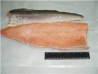 ���� ������� �/� ��� 10��