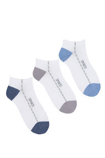 ����� ������ �������