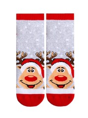 ���������� (��������) 17�-51�� 303 ���