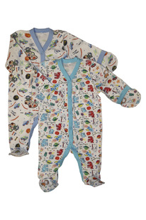 ���������� �.� ��������