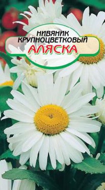 ������� ������ ��������������� 80��