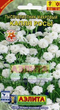 ������������� ����� ���� ����. ��.