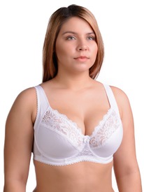 2018 �����������