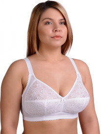 2069 �����������