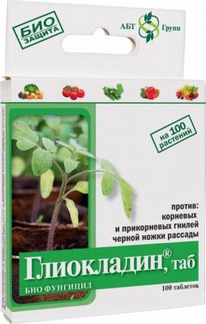 ���������� 100 ���.��� ��������