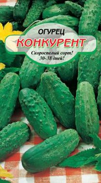 ��������� ������  ��