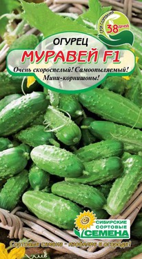 ������� F 1 ������