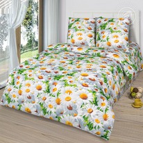 ������ ��� ����