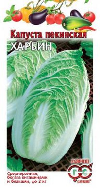 ������ ��������� �������