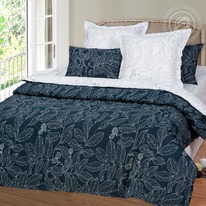 ������� ��� ����� Premium