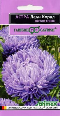 ���� ����� ������-����� ����� ���������