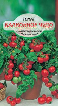 ��������� ���� ����� �/�